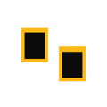 Two store windows linked by transfer arrows for platform migration.